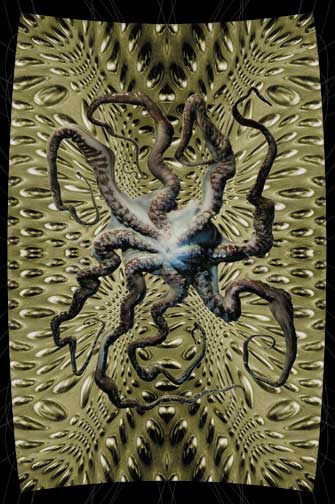 poster octopi