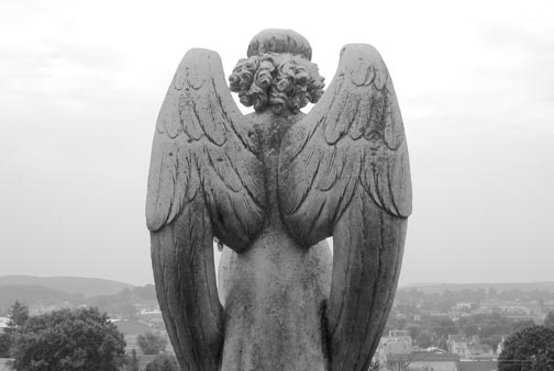 sentinel